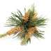 Bach bloesem pine of grove den