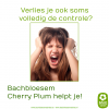 Cherry Plum